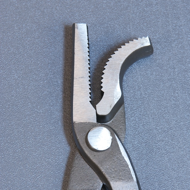 Diamond Saddlehorse Clincher